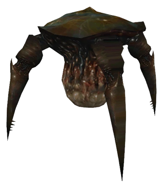 Big Momma